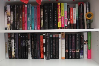 Bookshelf 2012 019
